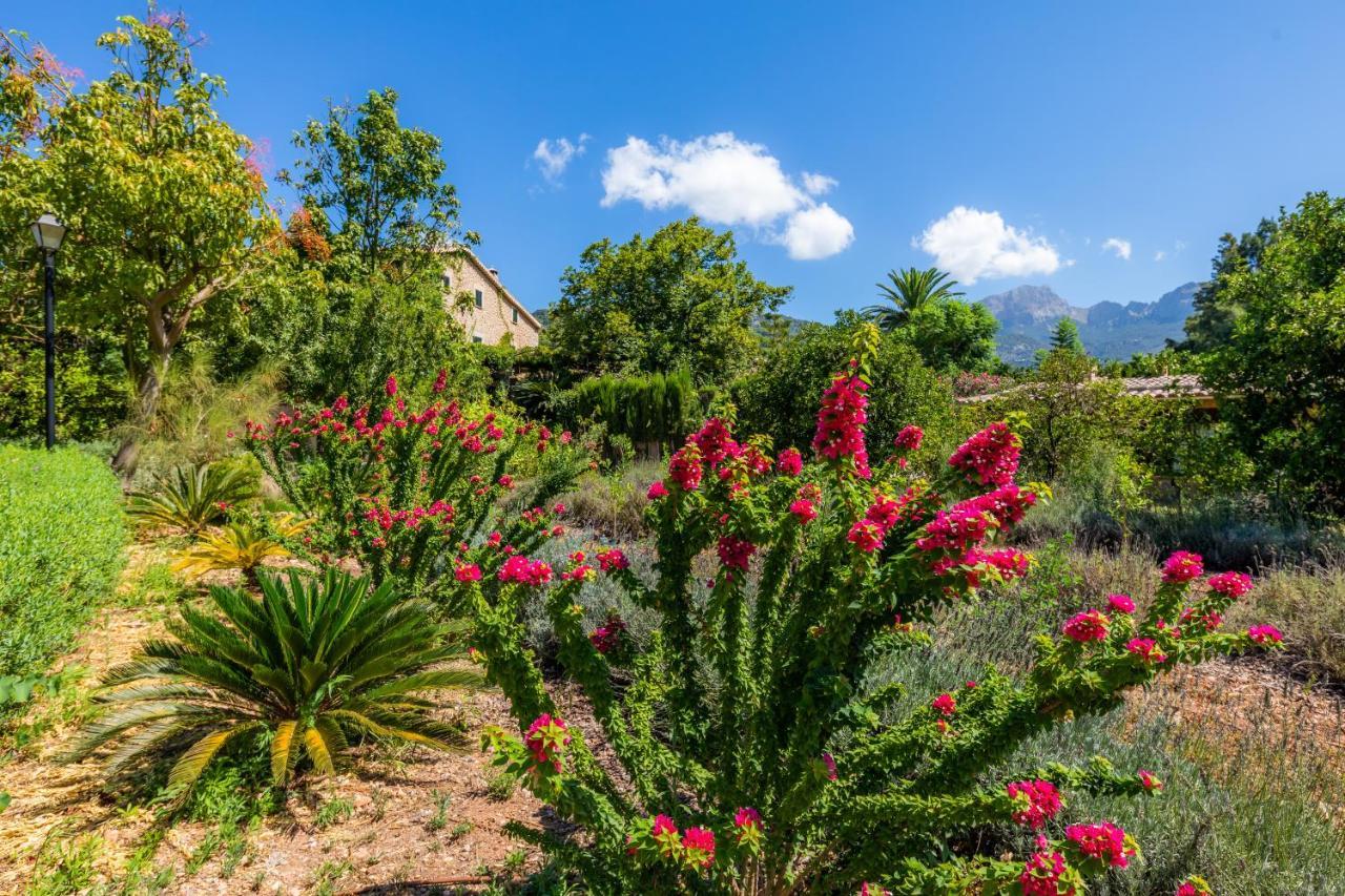 Finca Ca'S Curial - Agroturismo - Adults Only Soller Luaran gambar