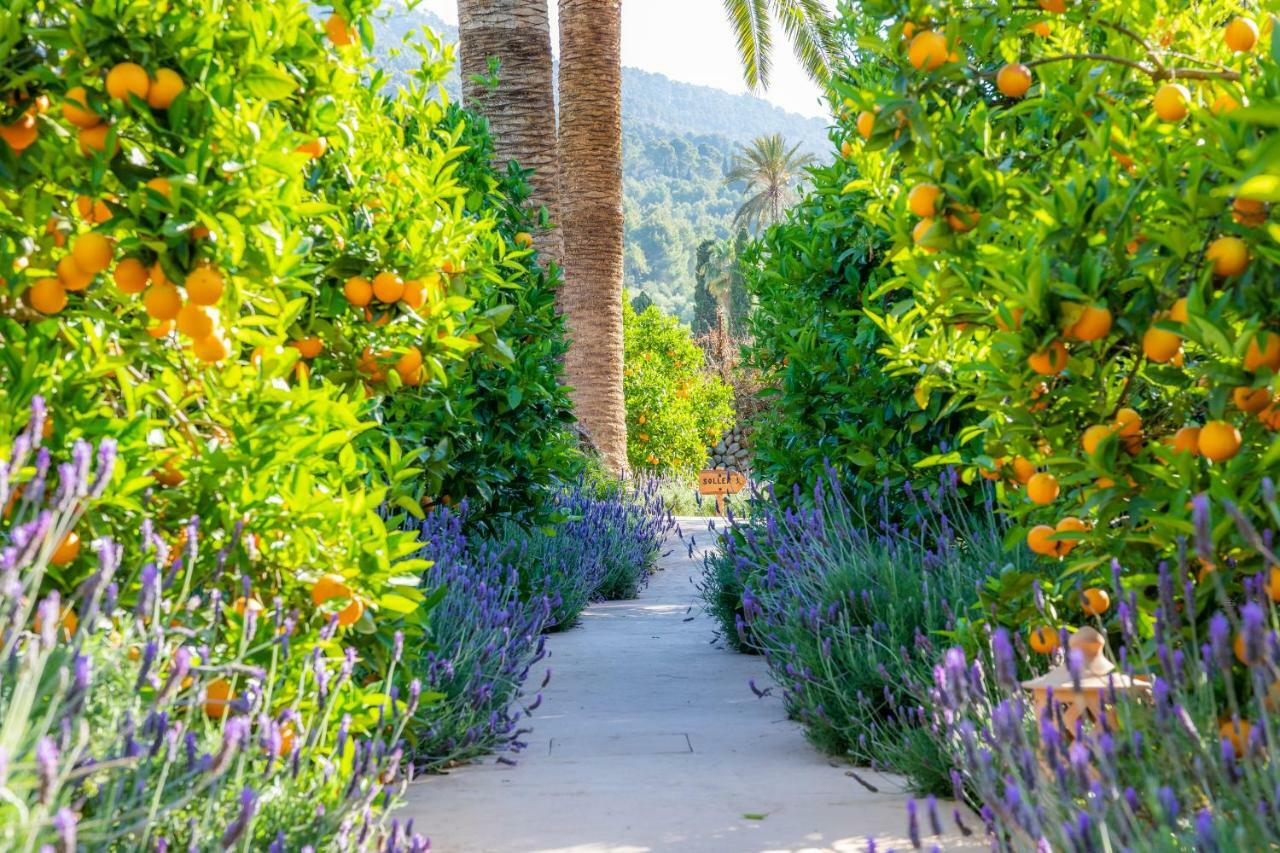 Finca Ca'S Curial - Agroturismo - Adults Only Soller Luaran gambar