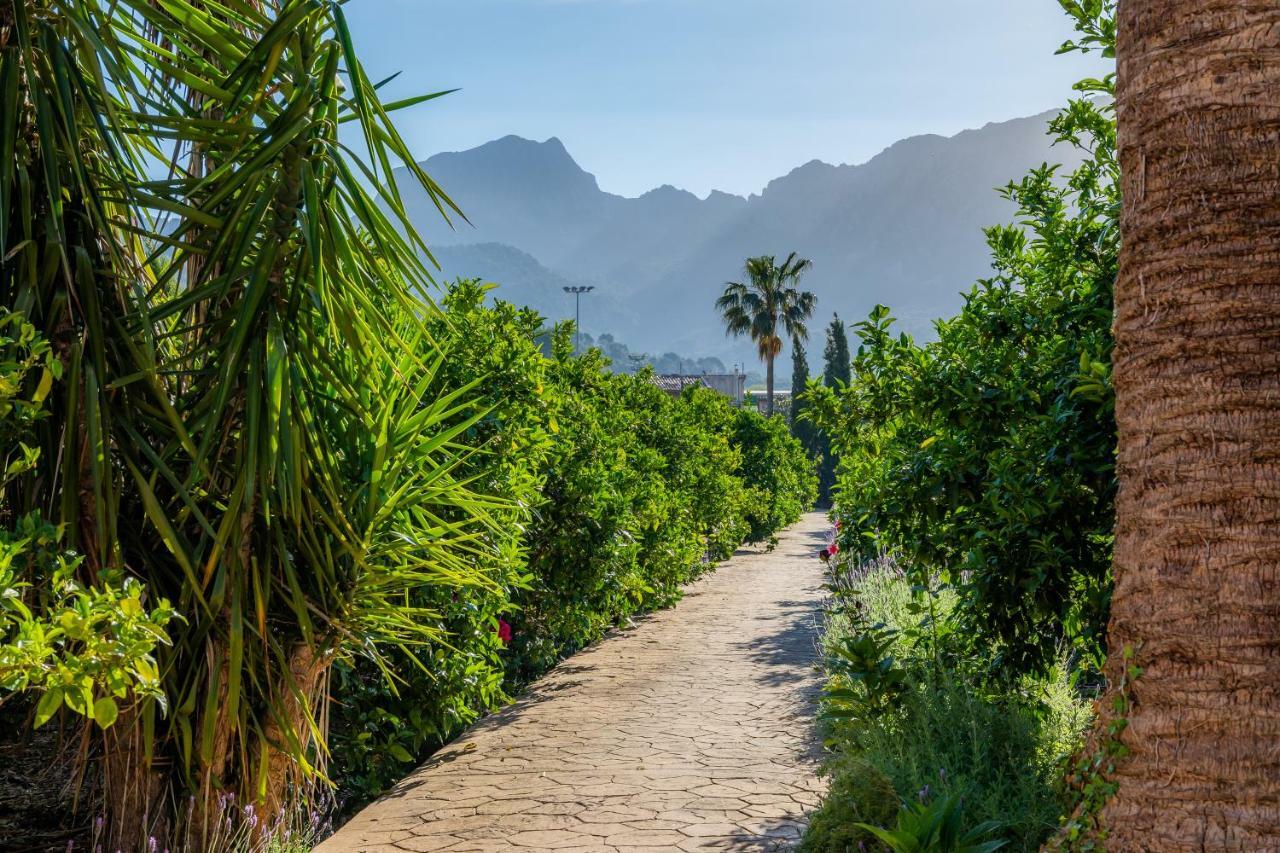Finca Ca'S Curial - Agroturismo - Adults Only Soller Luaran gambar