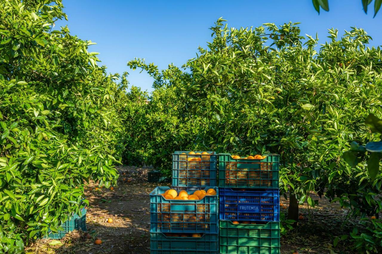 Finca Ca'S Curial - Agroturismo - Adults Only Soller Luaran gambar